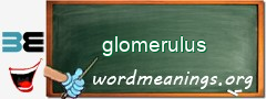 WordMeaning blackboard for glomerulus